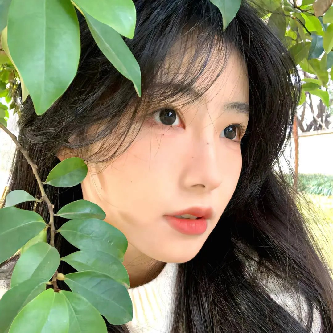 黑玫瑰