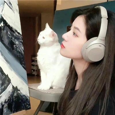 我在六扇门的日子