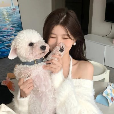 迷幻卧底:费瑞崛起